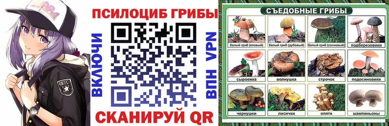 наркотики  Горняк  Галлюциногенные грибы GOLDEN TEACHER 